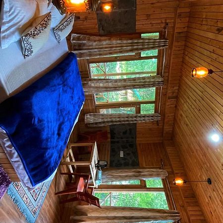 The Cozy Cabin Jibhi Bed & Breakfast Екстериор снимка